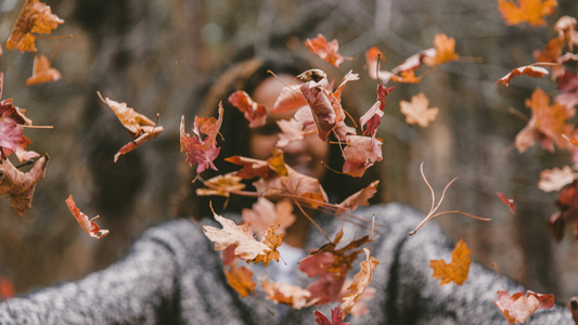 What to feed your brain with this autumn?