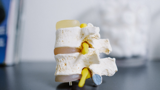 How to take care of your bones and joints